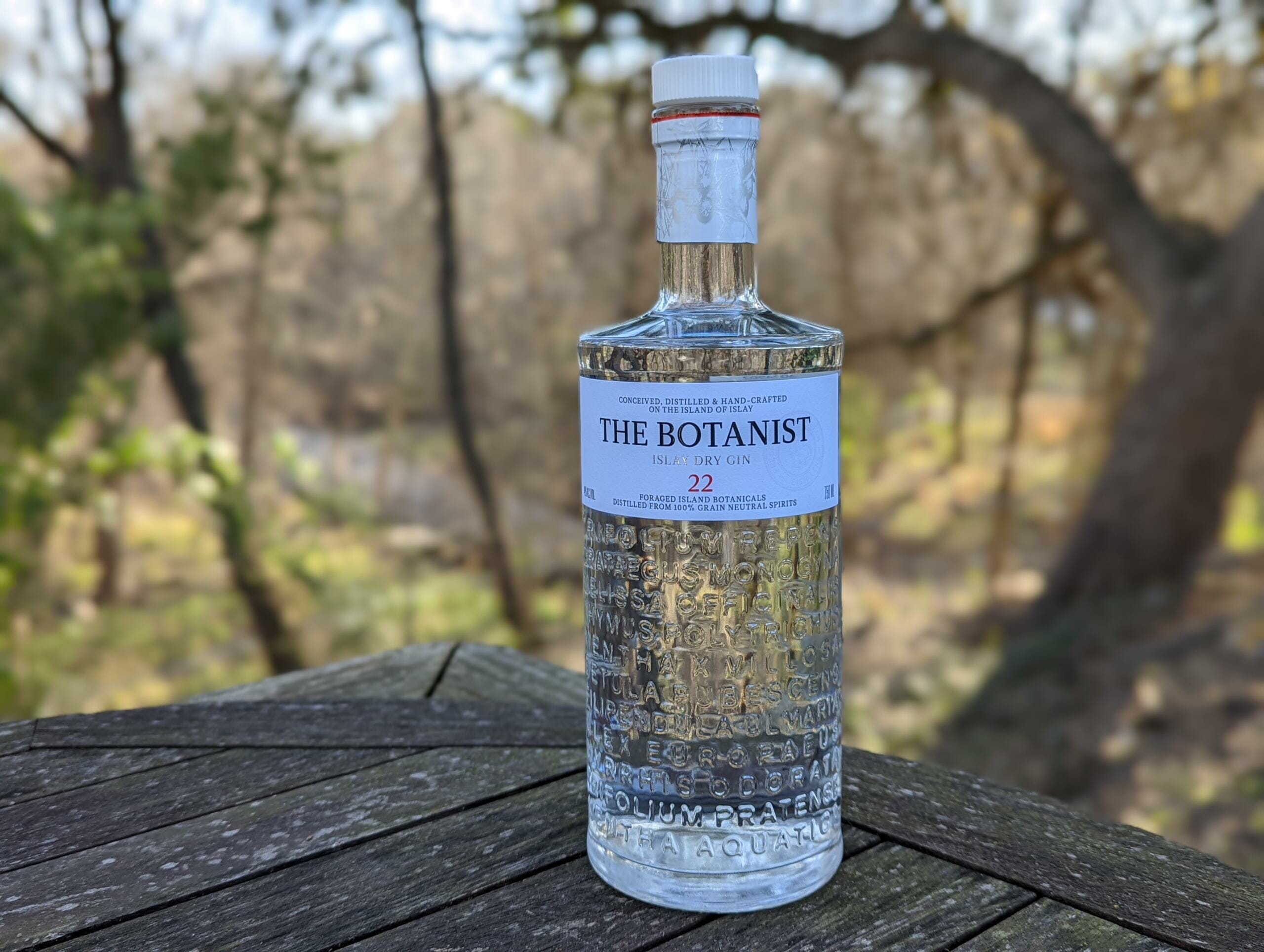 Review The Botanist Islay Dry Gin ThirtyOne Whiskey
