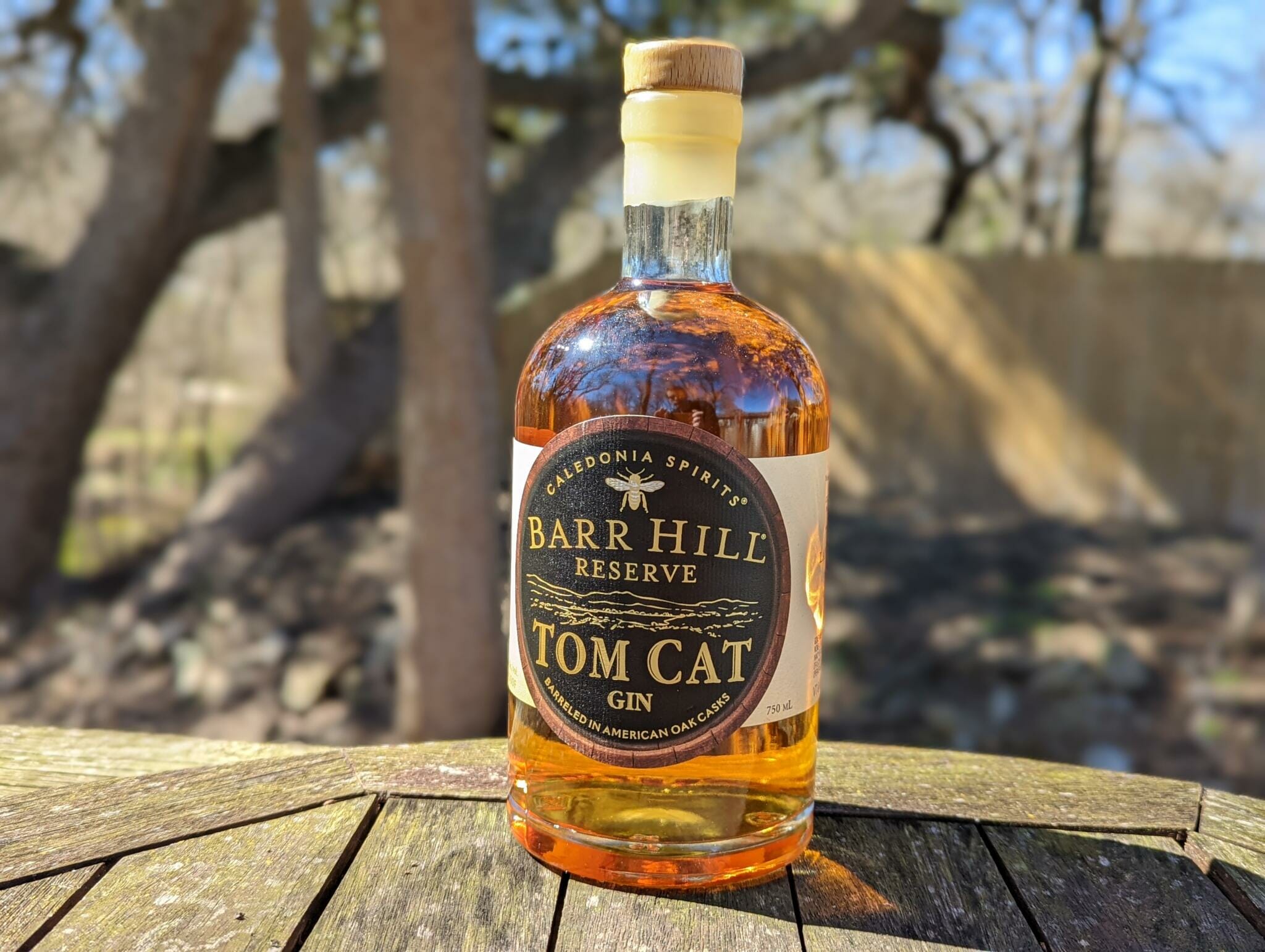 Review Barr Hill Tom Cat Barrel Aged Gin ThirtyOne Whiskey